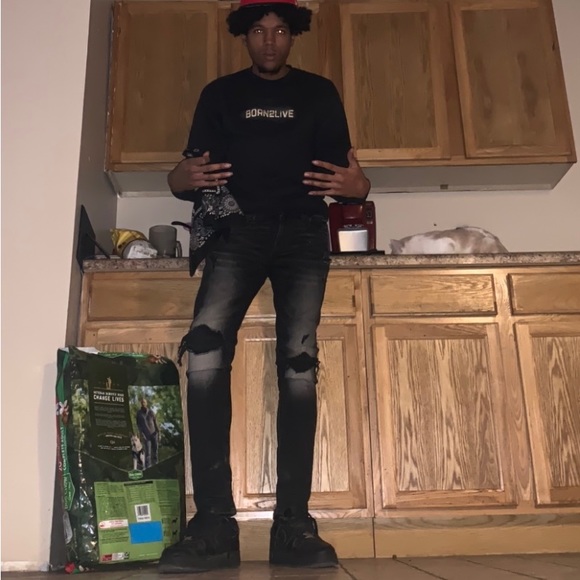 “The Reptilian”..... Multi-Abstract Shapeshifters/Hengeyokai Art Painting - Picture 8 of 8